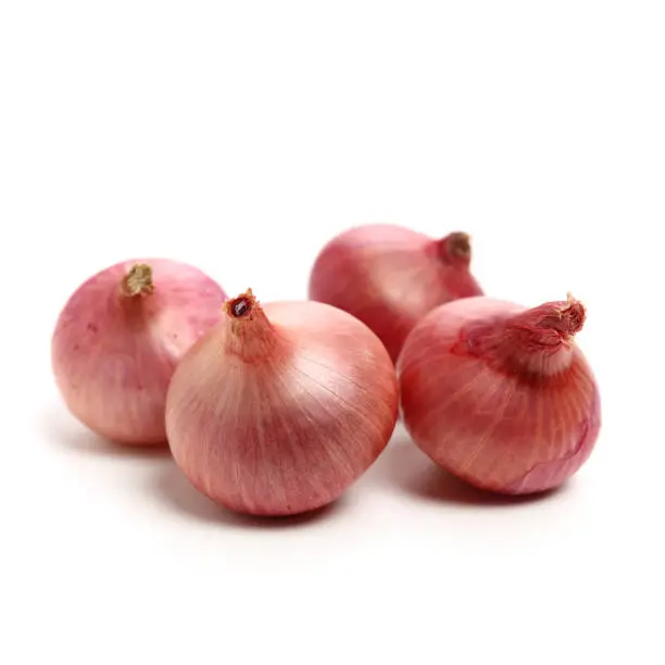 Fresh Red Onions – Farm Fresh, Flavorful & Nutritious