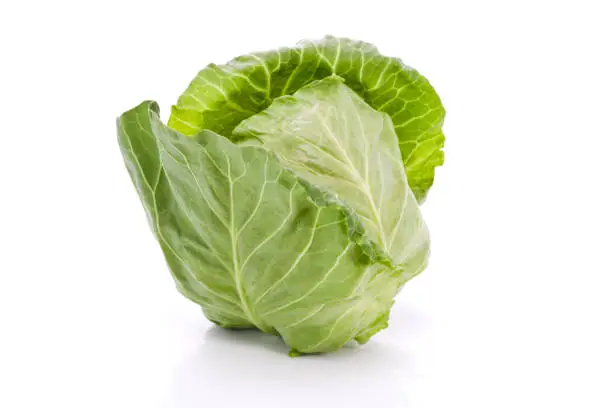 Fresh Farm Cabbage (patta gobhi)