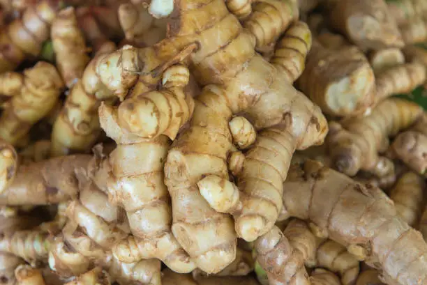 Fresh Ginger – Aromatic, Spicy & Farm Fresh